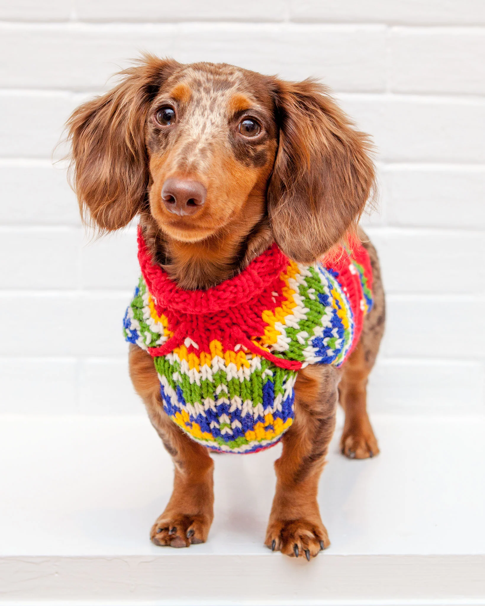 Festive Fairisle Dog Sweater << CLEARANCE >> - Image 3