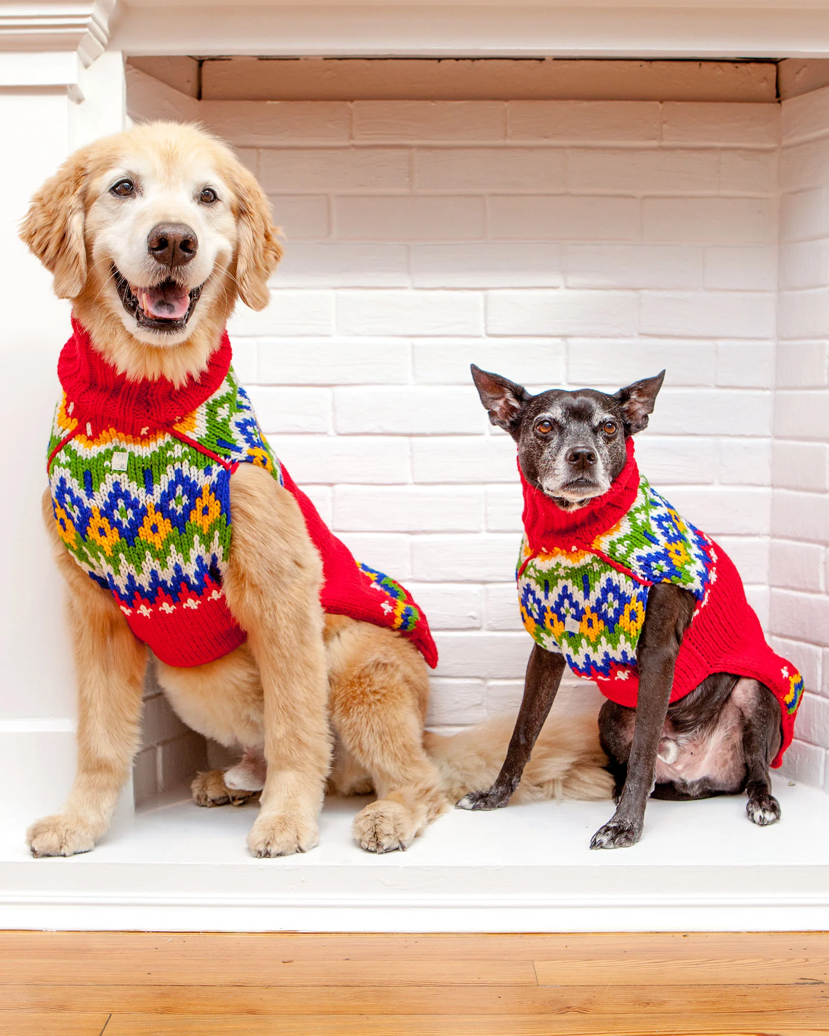 Festive Fairisle Dog Sweater << CLEARANCE >> - Image 5