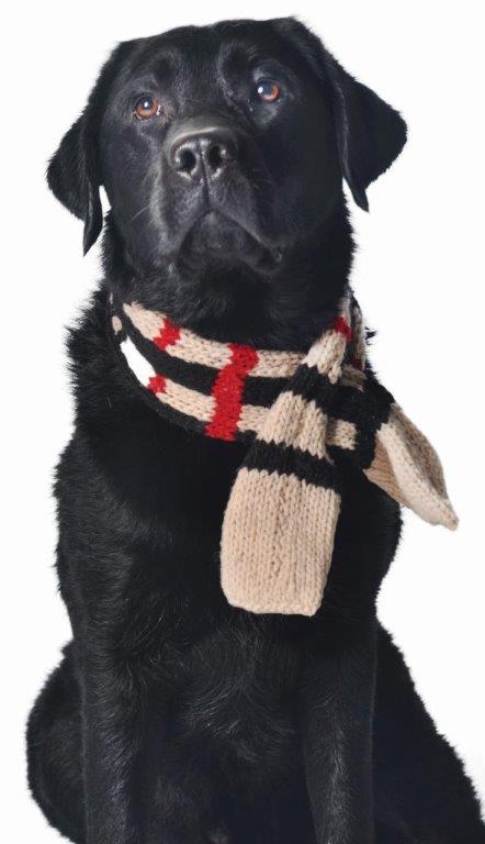 CHILLY DOG | Tan Plaid Scarf - Image 2