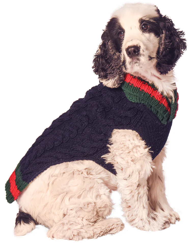 CHILLY DOG | Varsity Sweater