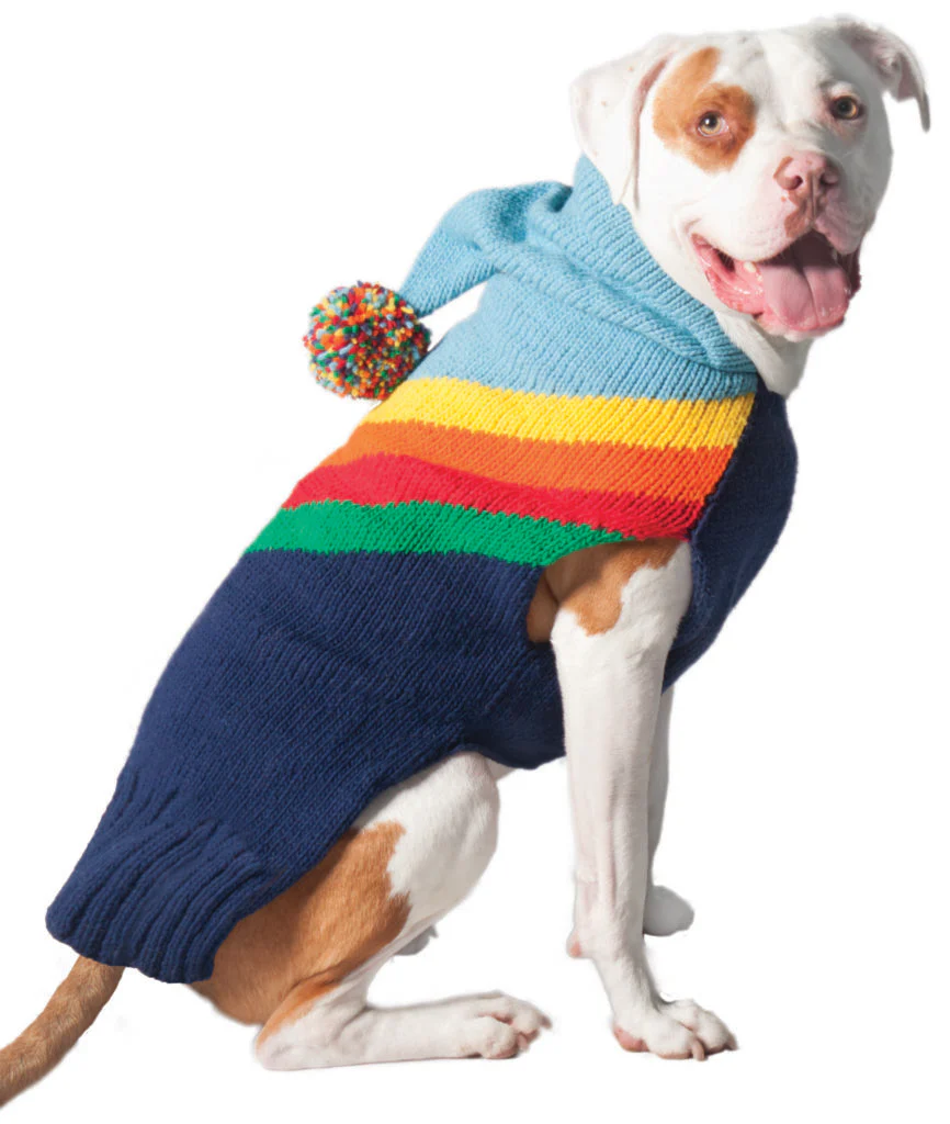 CHILLY DOG | Vintage Rainbow Hoodie