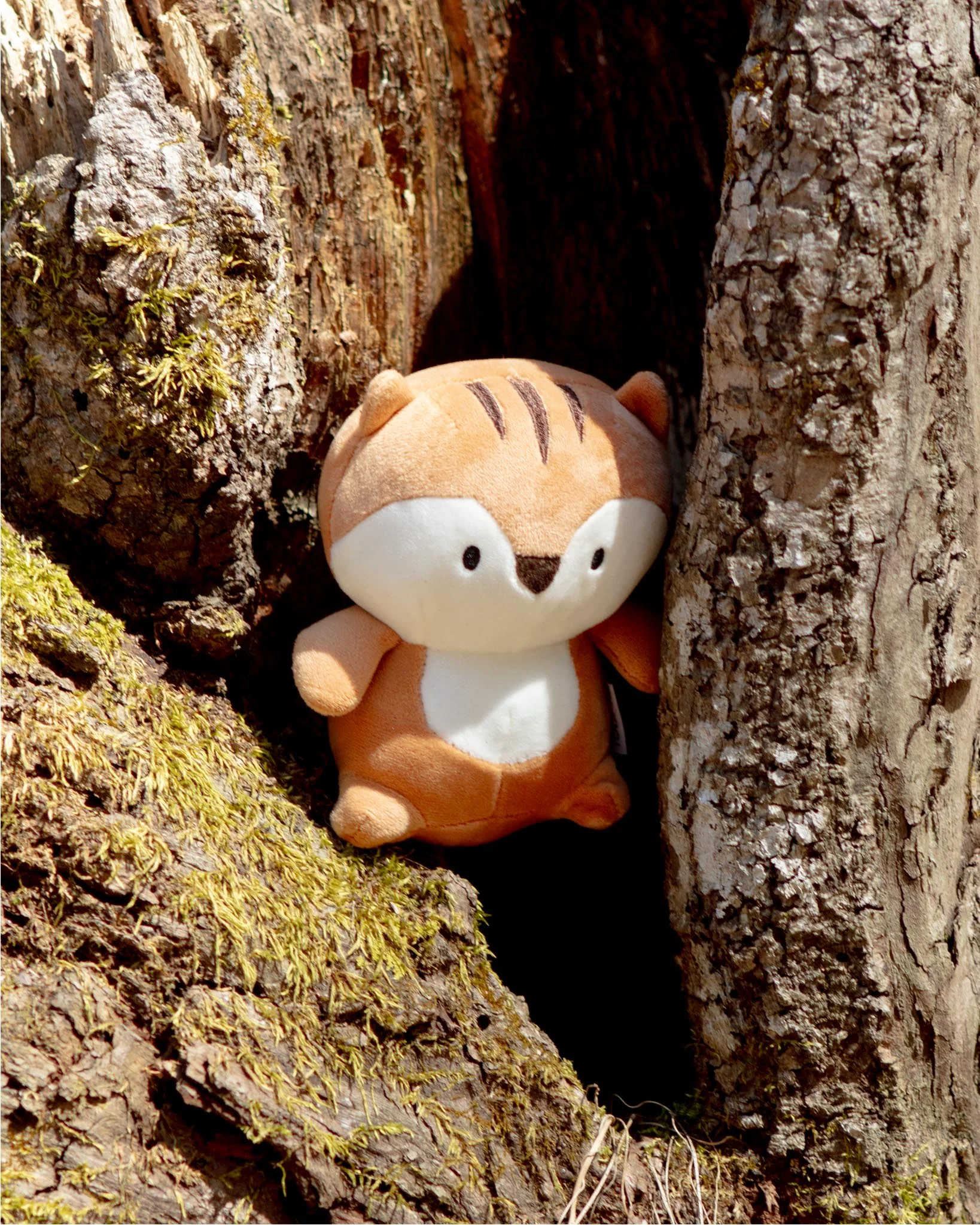 Chipmunk Marshmallow Squisher Squeaky Plush Dog Toy