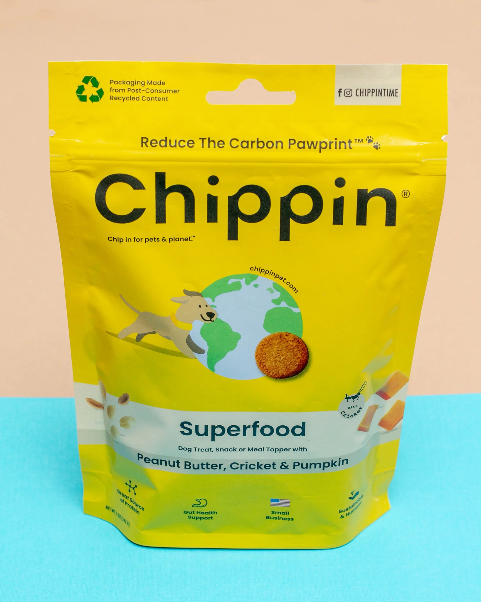 Peanut Butter, Cricket & Pumpkin Dog Treats - Image 2
