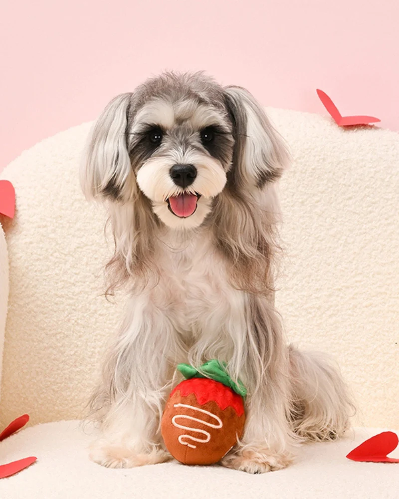 Chocolate Strawberry 2-in-1 Squeaky Dog Toy - Image 4