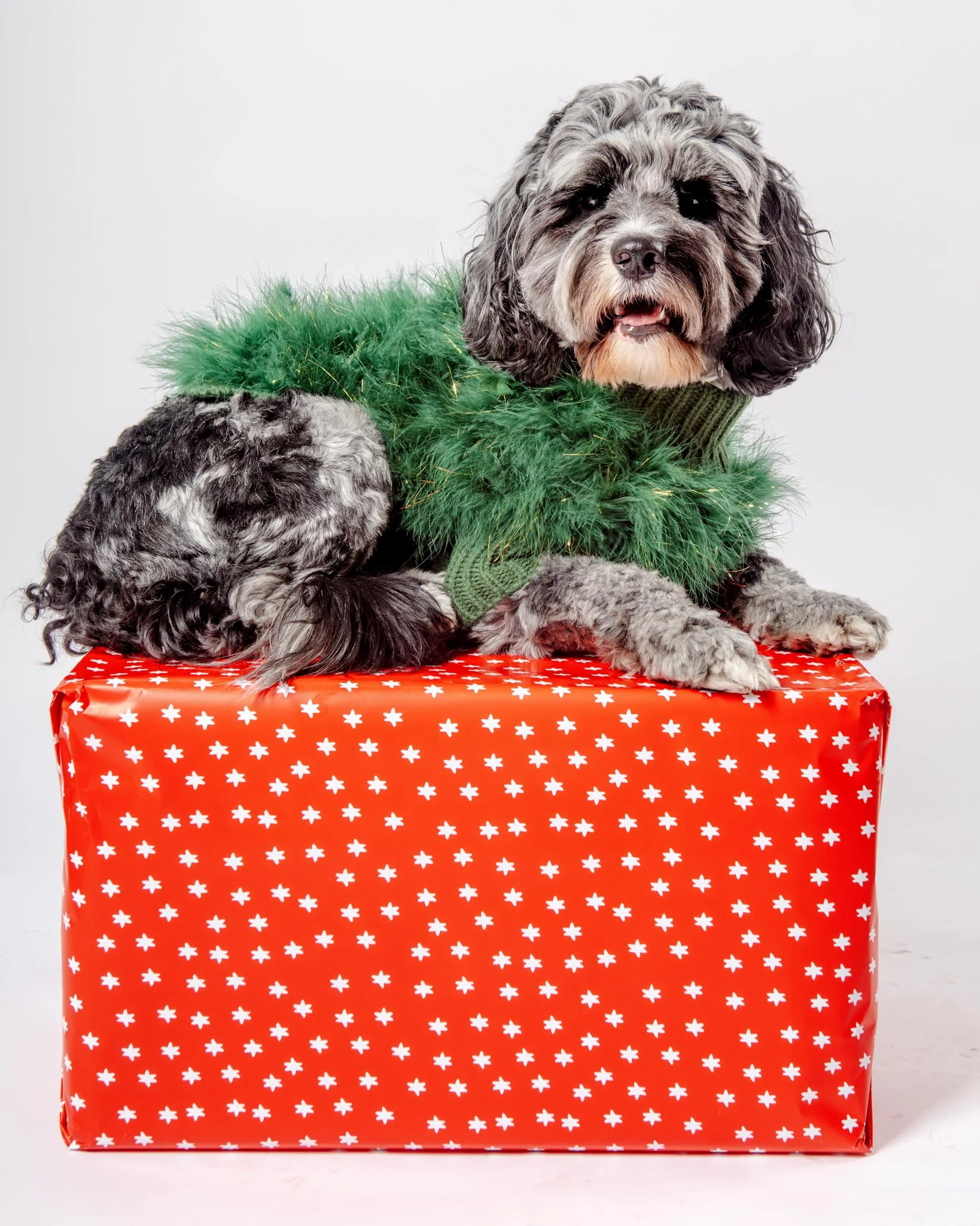 Christian Cowan Holiday Glitz Jumper Dog Sweater (FINAL SALE) - Image 2