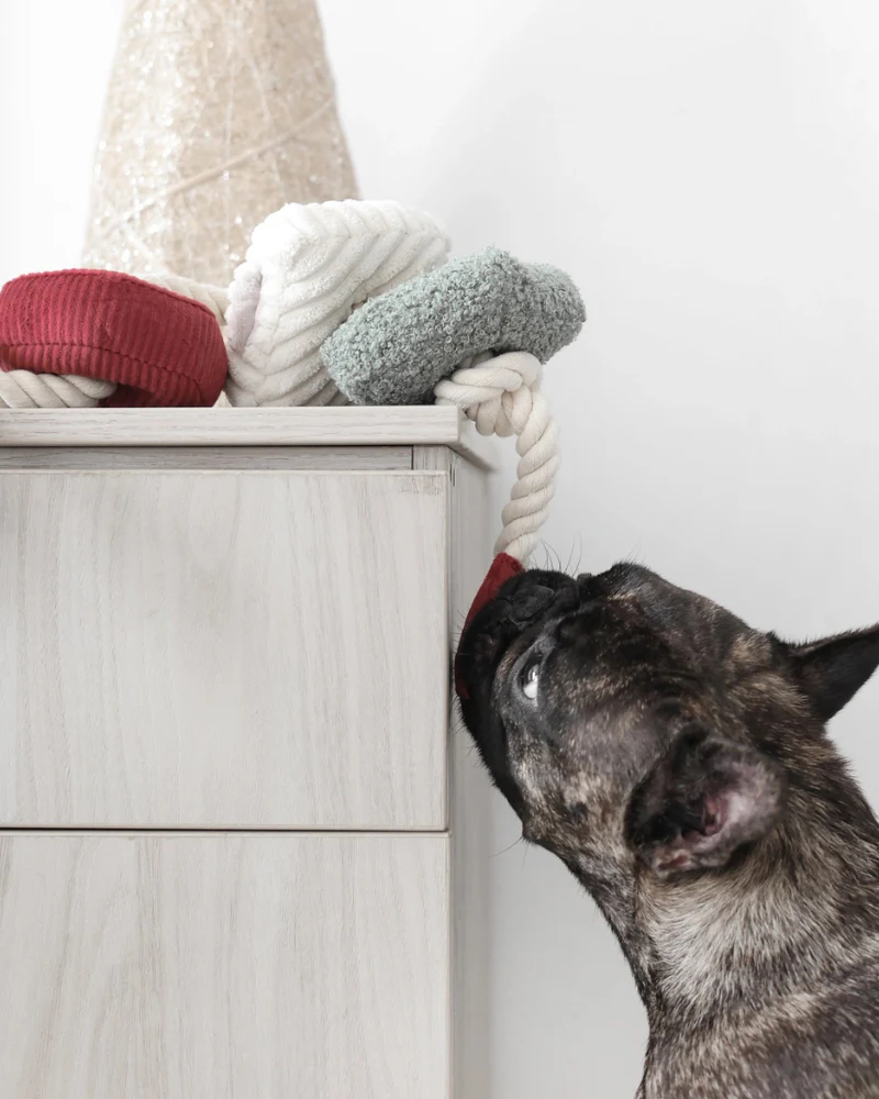 Christmas Blocs Interactive Tug Dog Toy - Image 4
