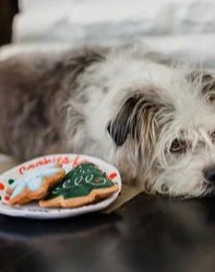 Christmas Eve Cookies for Santa Paws Dog Toy Set - Image 5