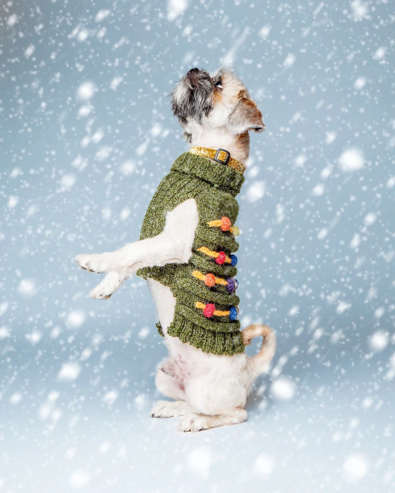 Christmas Tree Hand Knit Dog Sweater - Image 2