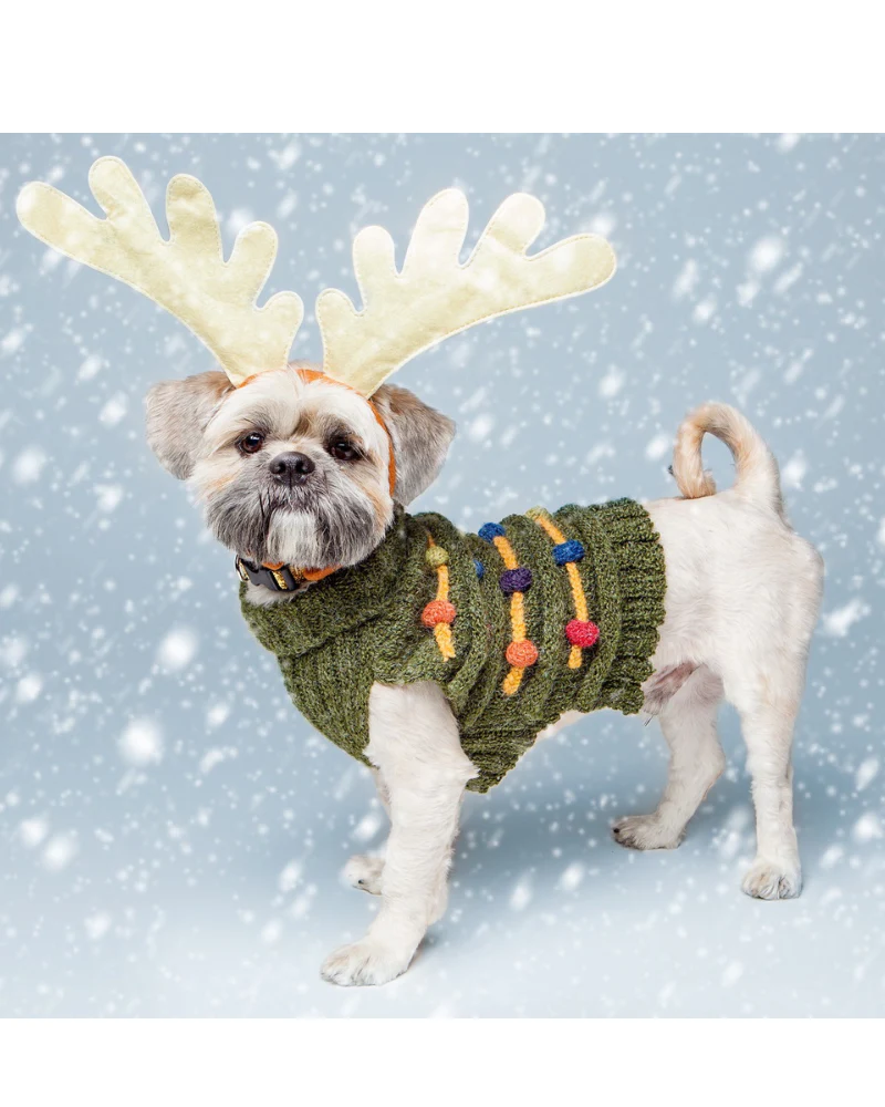 Christmas Tree Hand Knit Dog Sweater - Image 5