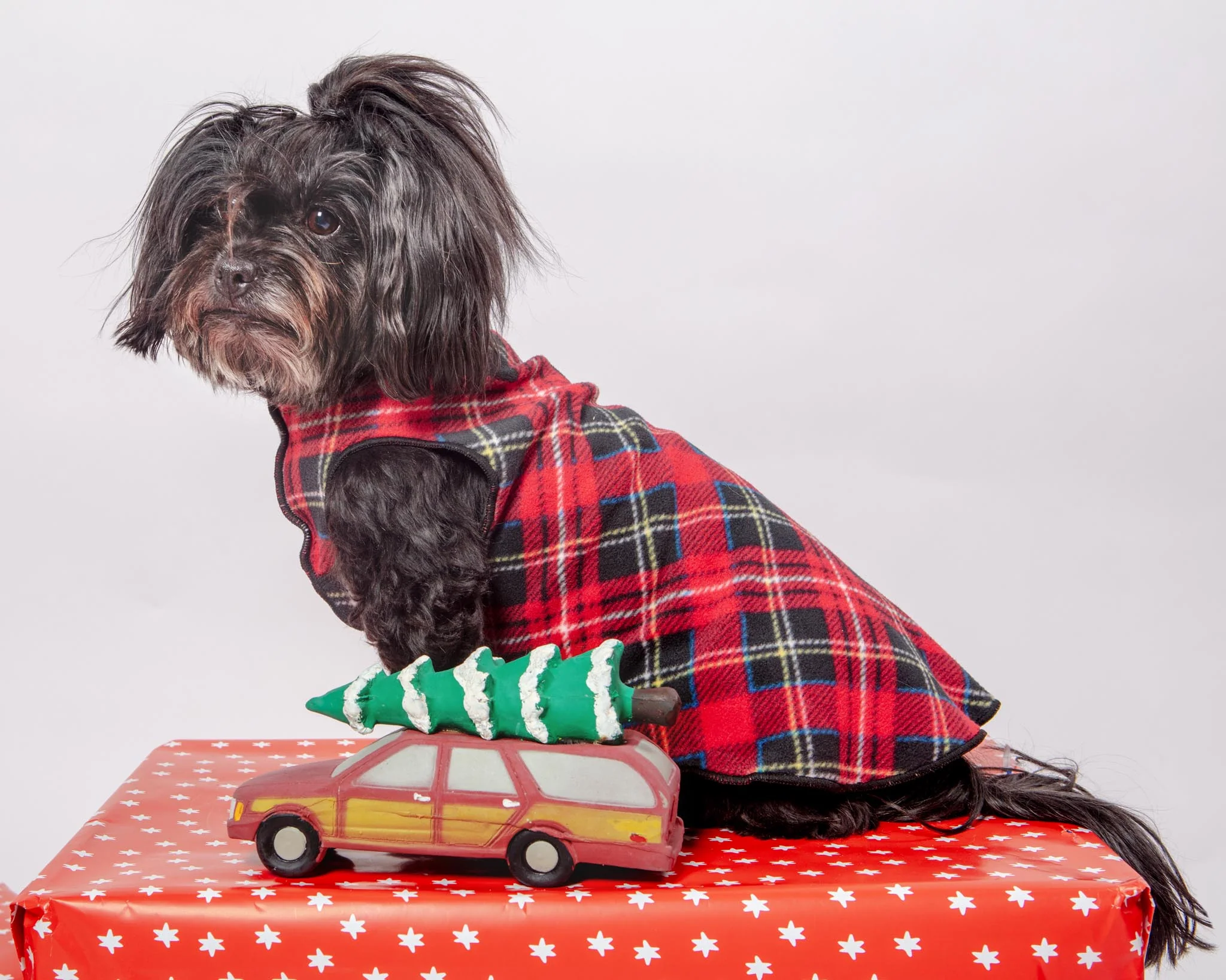 Christmas Tree Station Wagon Latex Dog Toy - Image 3