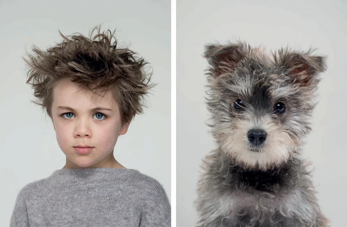 CHRONICLE BOOKS | Do You Look Like Your Dog? Memory Game - Image 3
