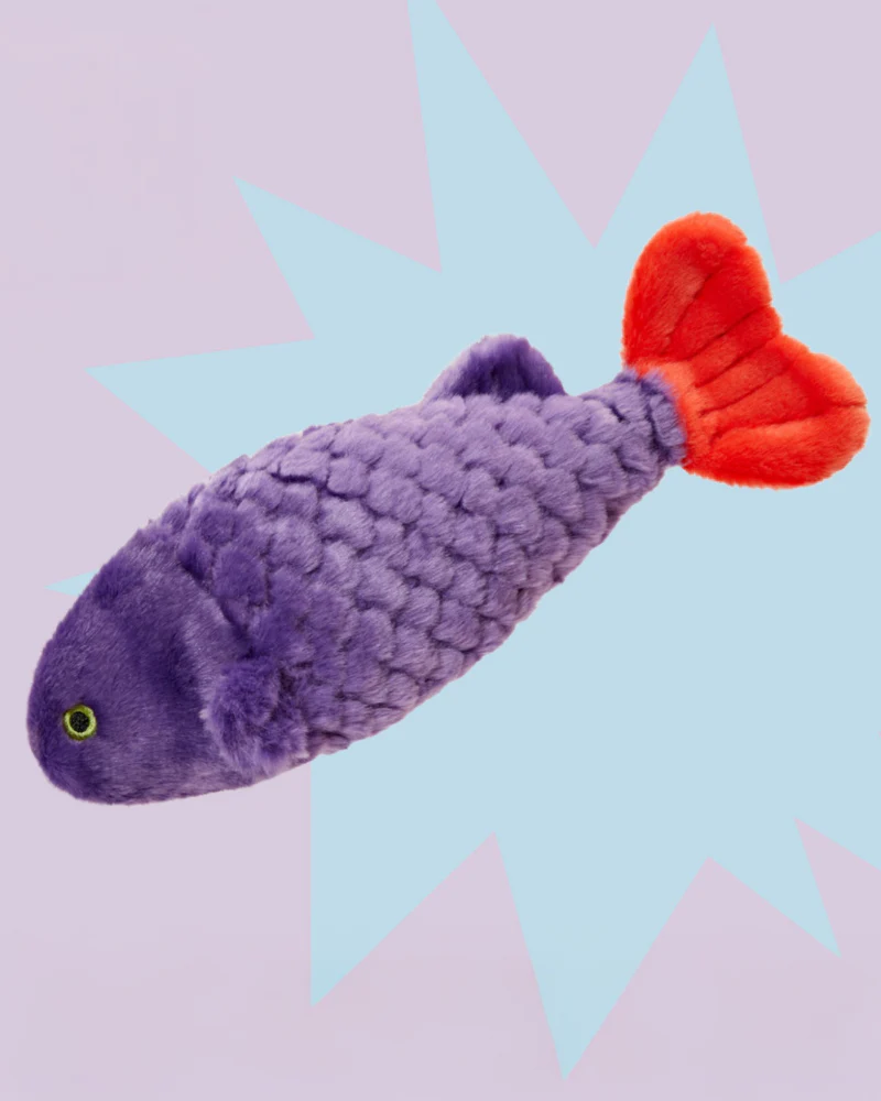 Cici the Tropical Fish Plush Squeaky Dog Toy - Image 3
