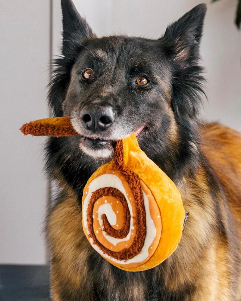 Cinnabone Crinkly Squeaker Dog Toy - Image 2