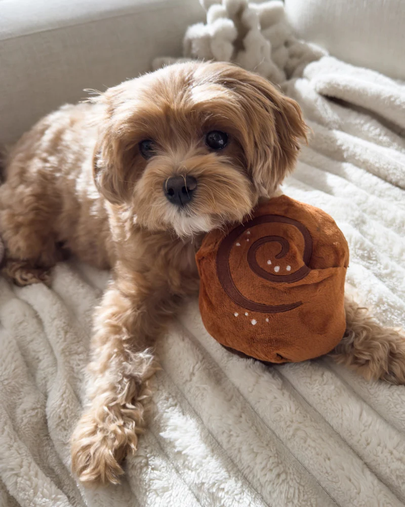 Cinnamon Roll Squeaky Snuffle Dog Toy - Image 8