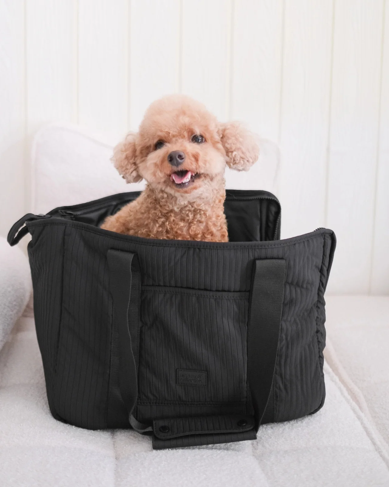 City Carrier Zip-In Dog Bag in Black