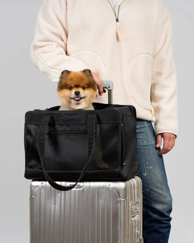 City to Sky Pet Travel Carrier
