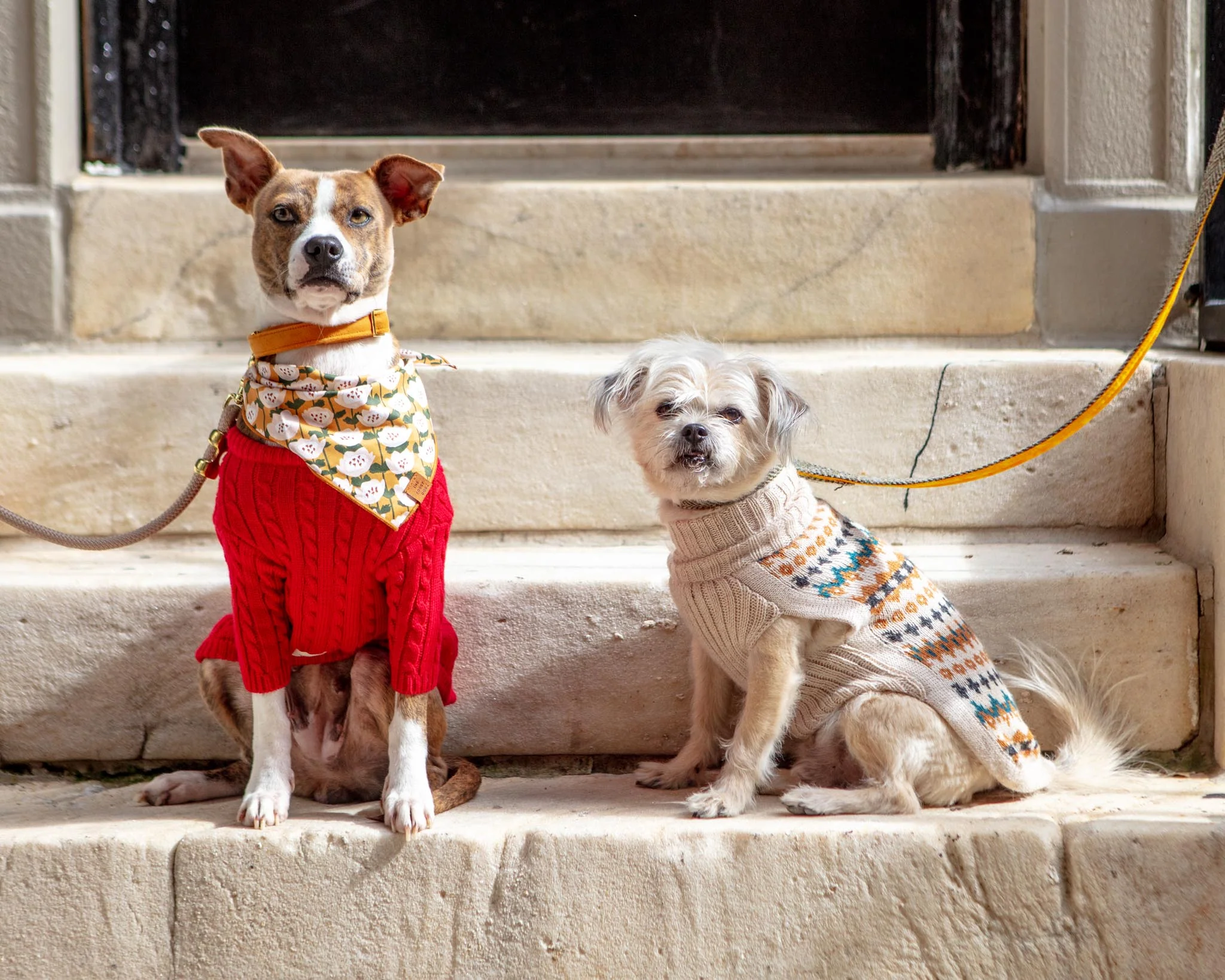 Classic Cable Knit Dog Cardigan in Red - Image 10