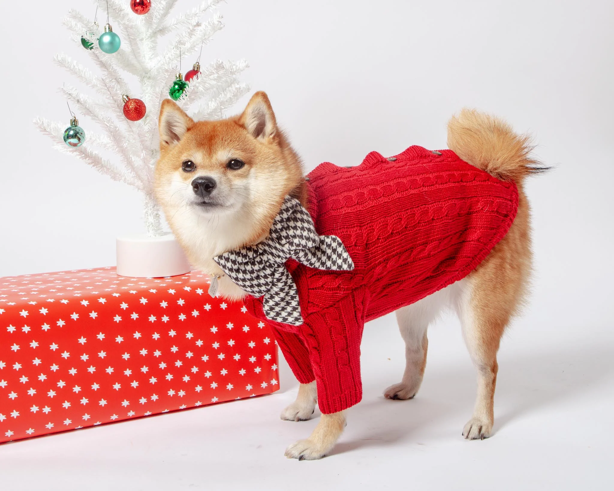 Classic Cable Knit Dog Cardigan in Red - Image 2