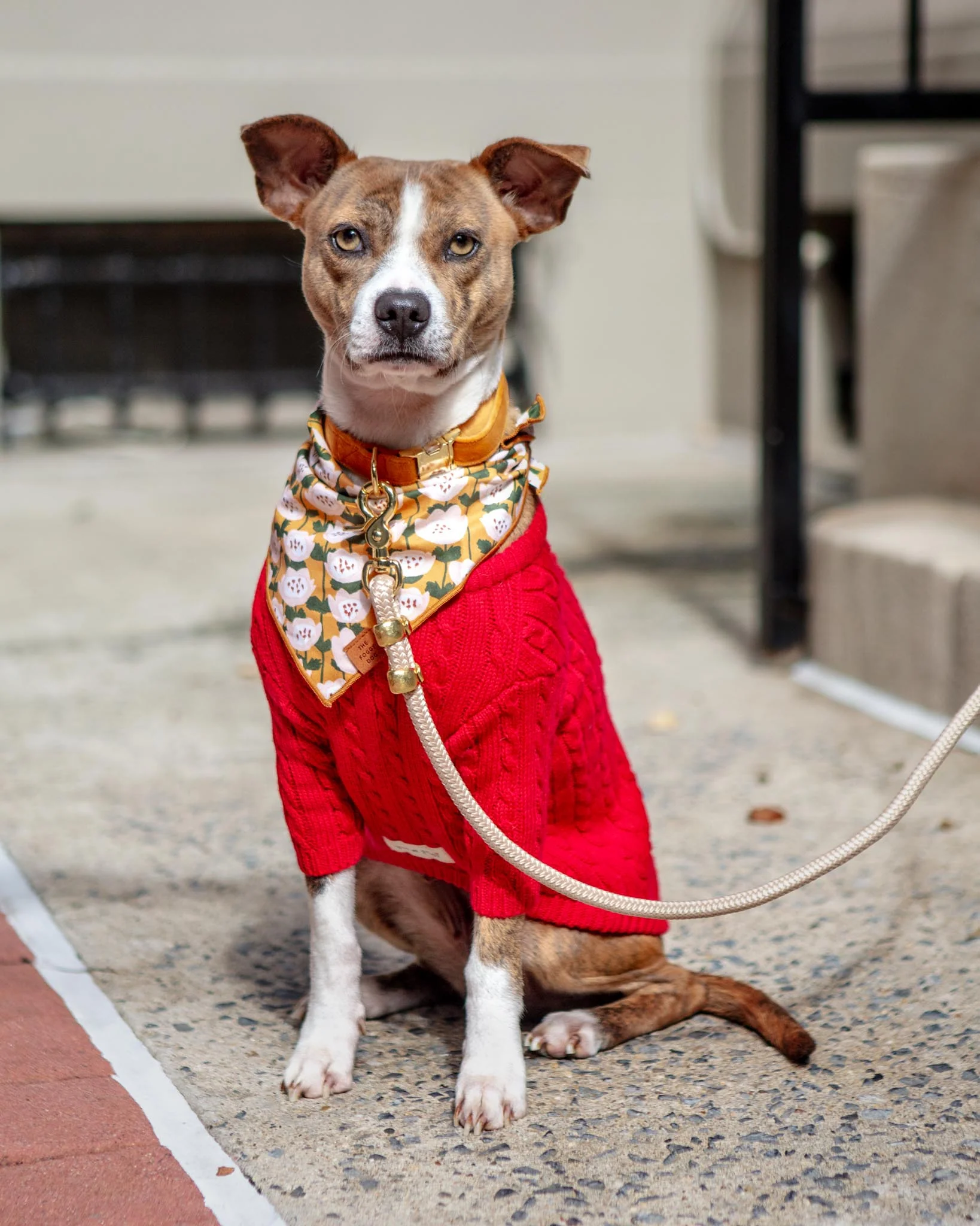 Classic Cable Knit Dog Cardigan in Red - Image 7