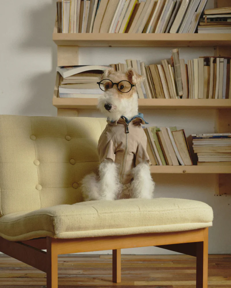 Classic Denim + Khaki Layered Dog Jacket (FINAL SALE) - Image 6