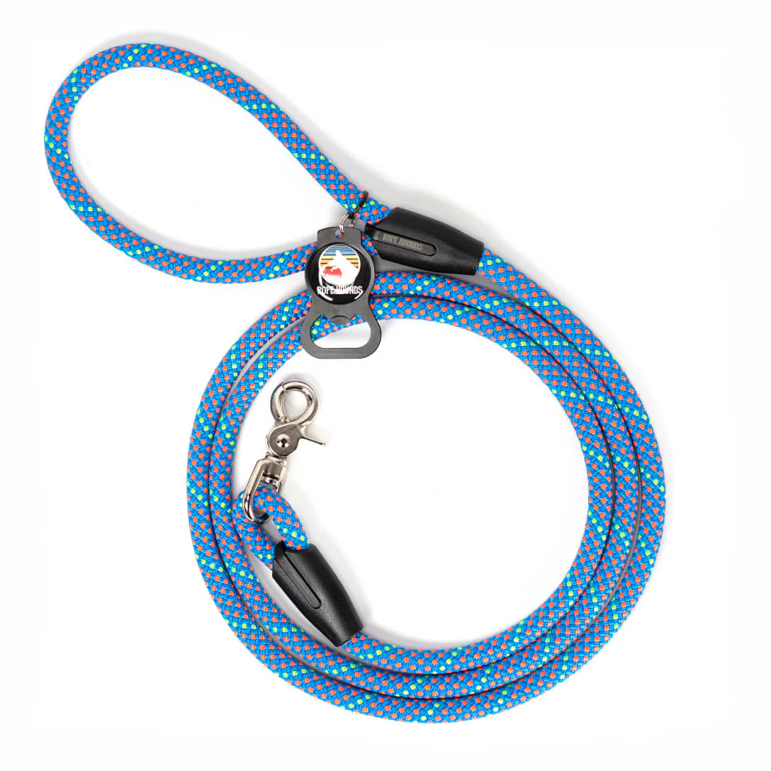Classic Dog Leash in Taffy Blue (Made in the USA)