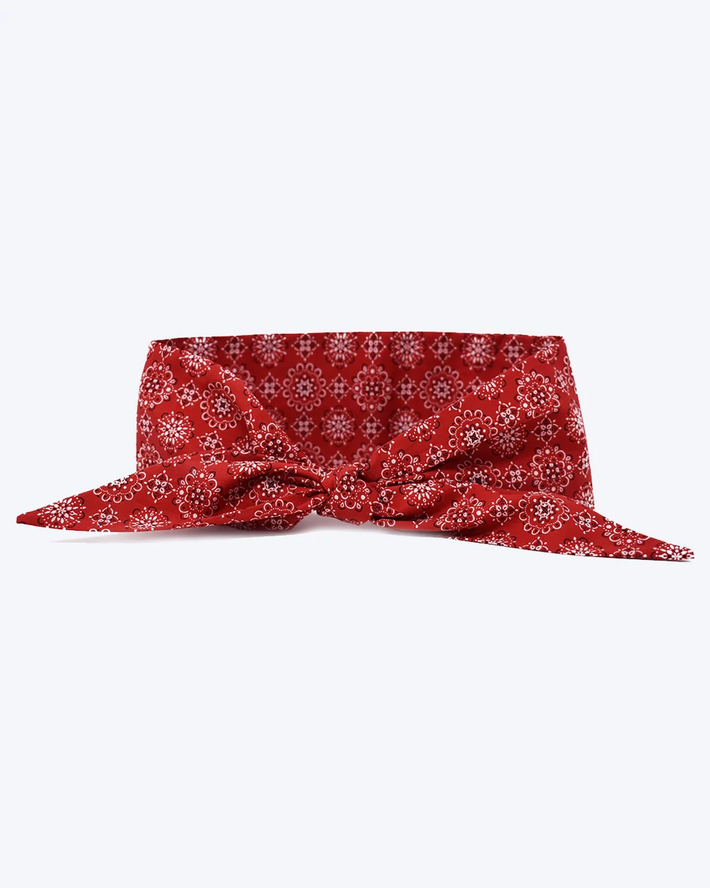 Classic Red Necktie for Dogs (Made in the USA) - Image 3