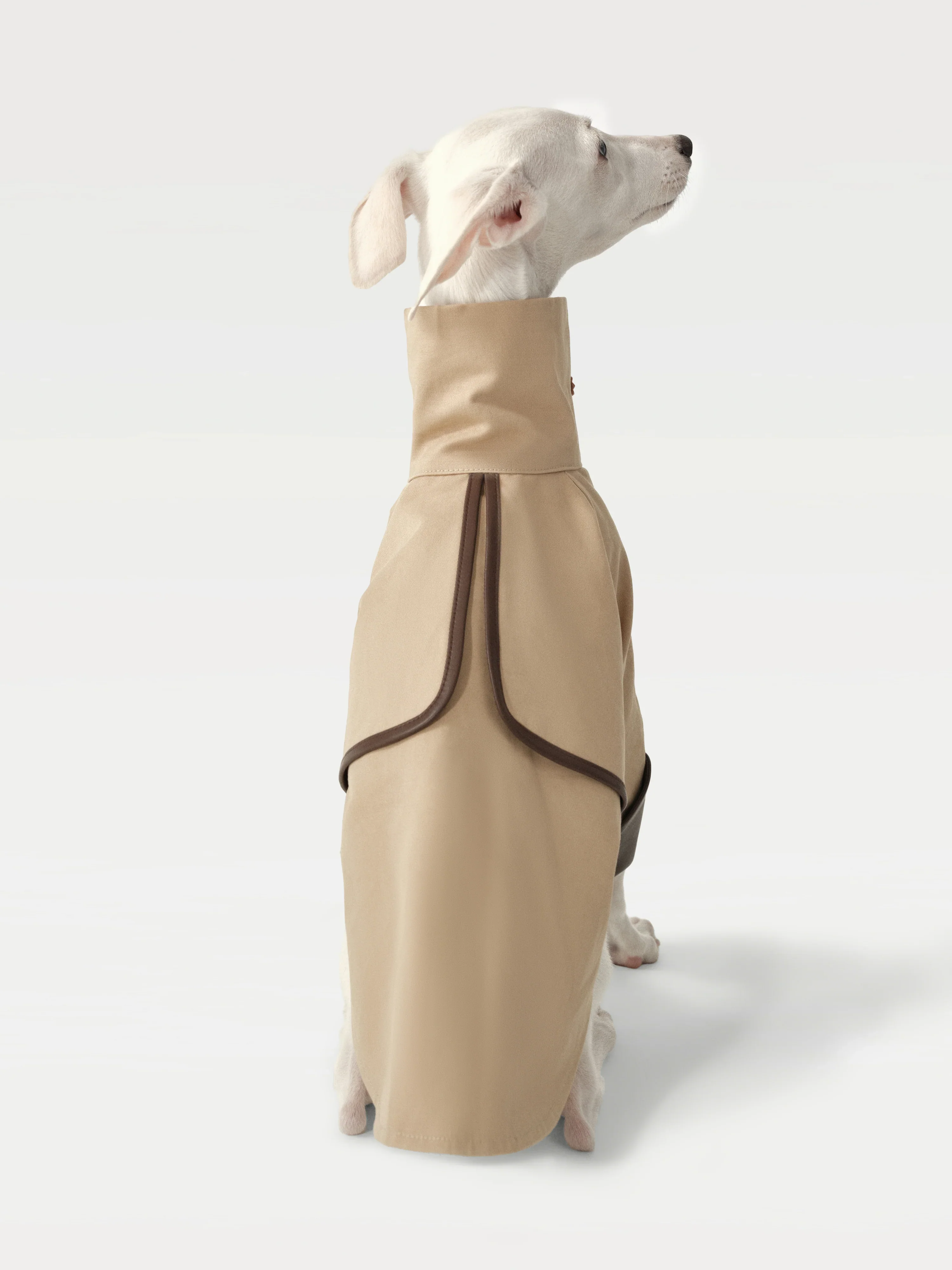 Classic Toggle Trench Coat for Dogs