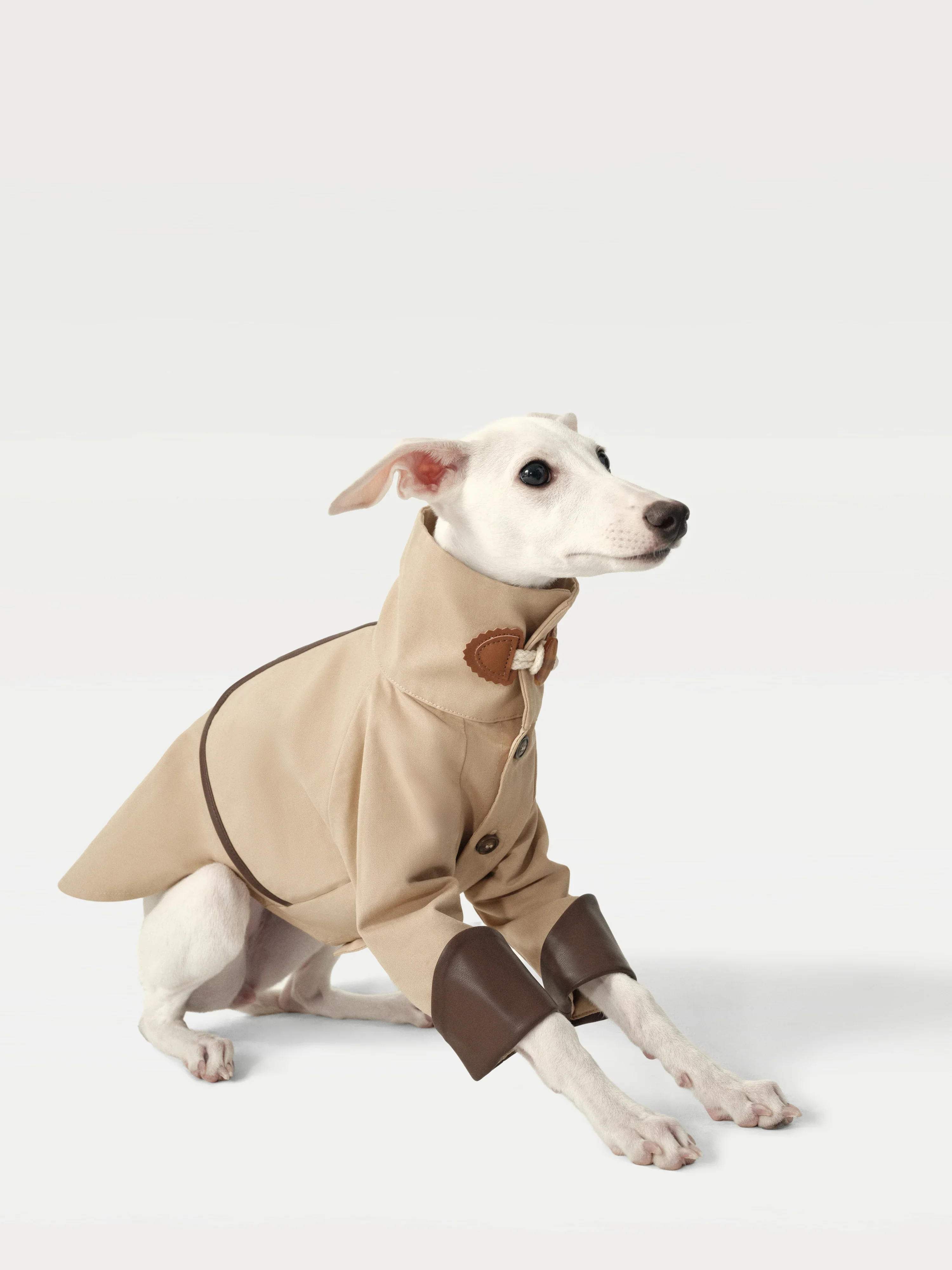 Classic Toggle Trench Coat for Dogs - Image 2