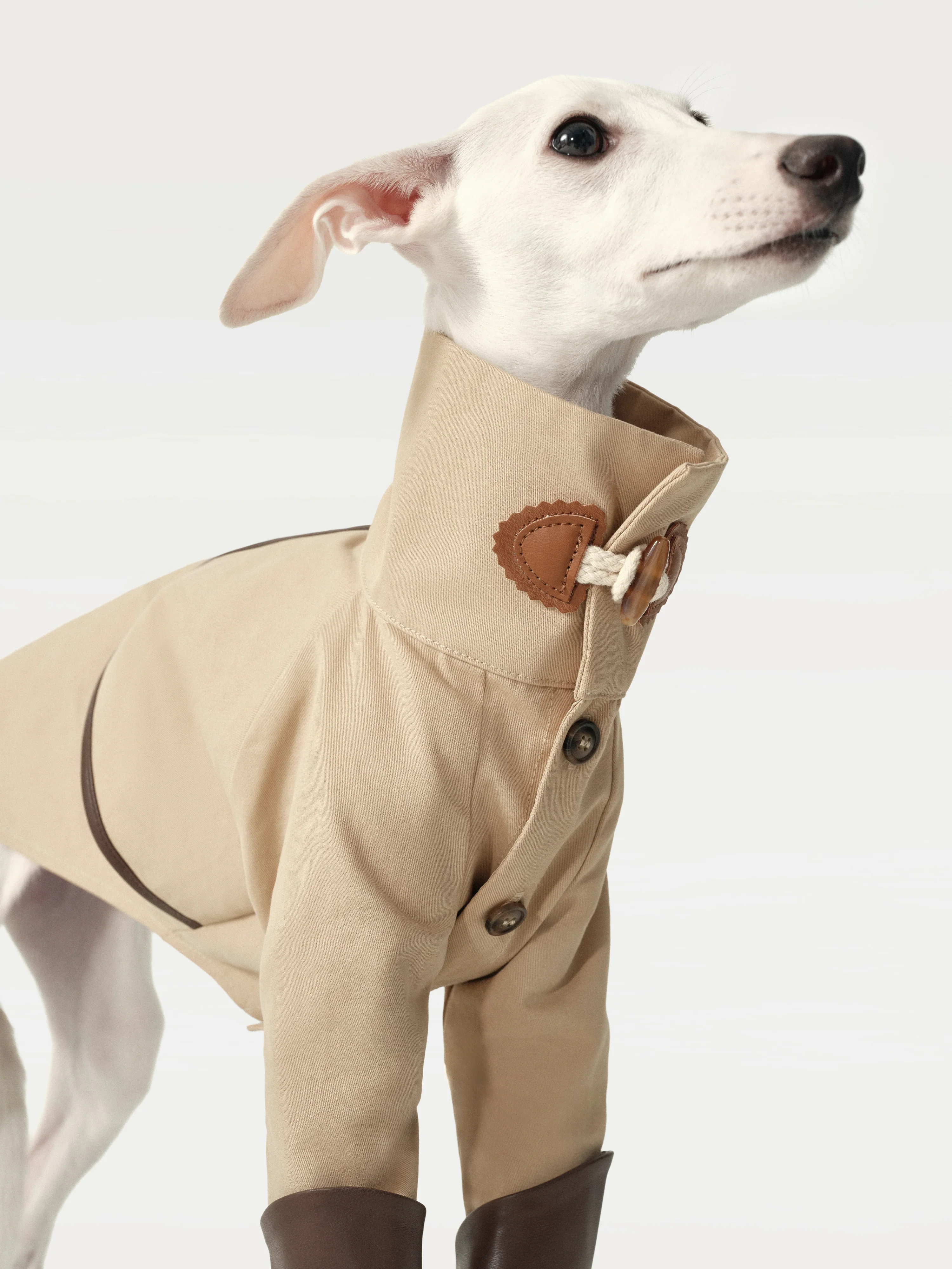 Classic Toggle Trench Coat for Dogs - Image 3