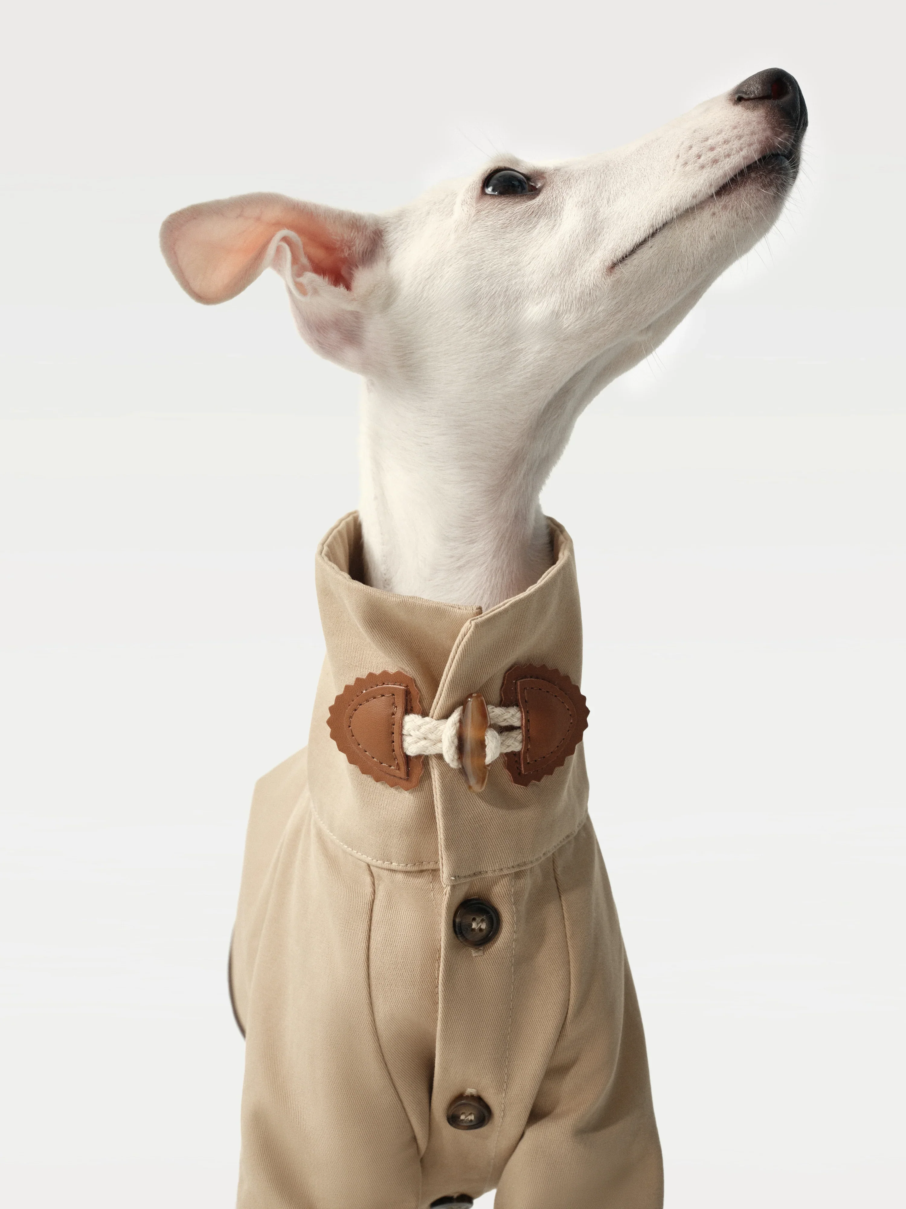 Classic Toggle Trench Coat for Dogs - Image 4