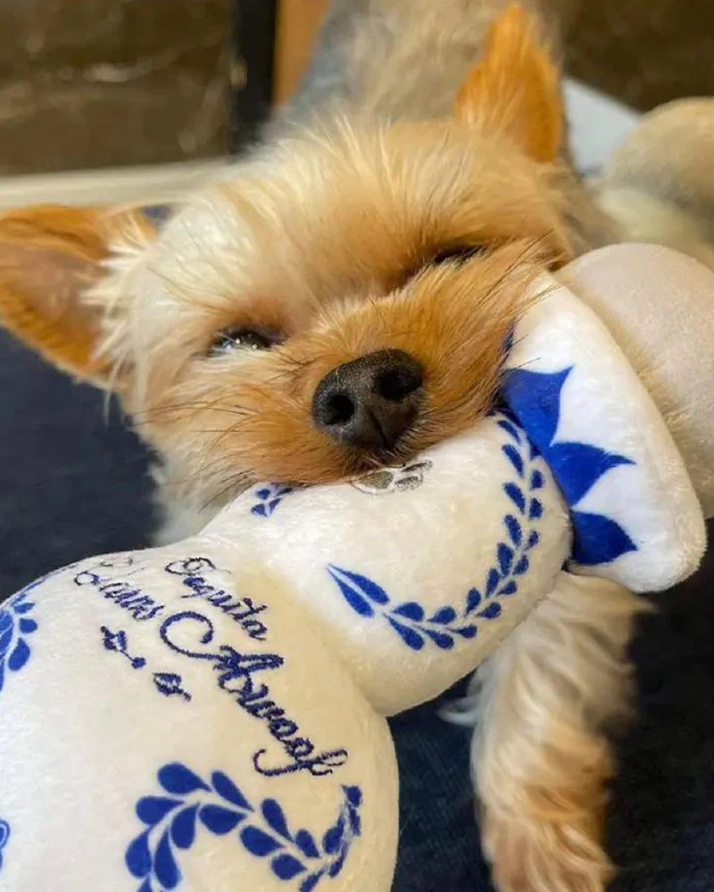 Claws Awoof Squeaky Plush Dog Toy - Image 6