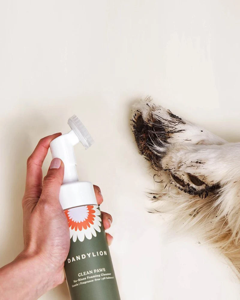 Clean Paws No-Rinse Foaming Cleanser for Dogs (Vegan & Cruelty Free) - Image 4