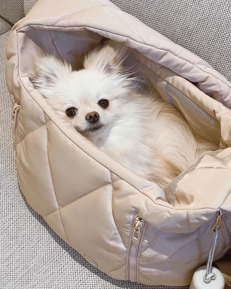 Cloud Crossbody Pet Carrier in Beige or Black - Image 12