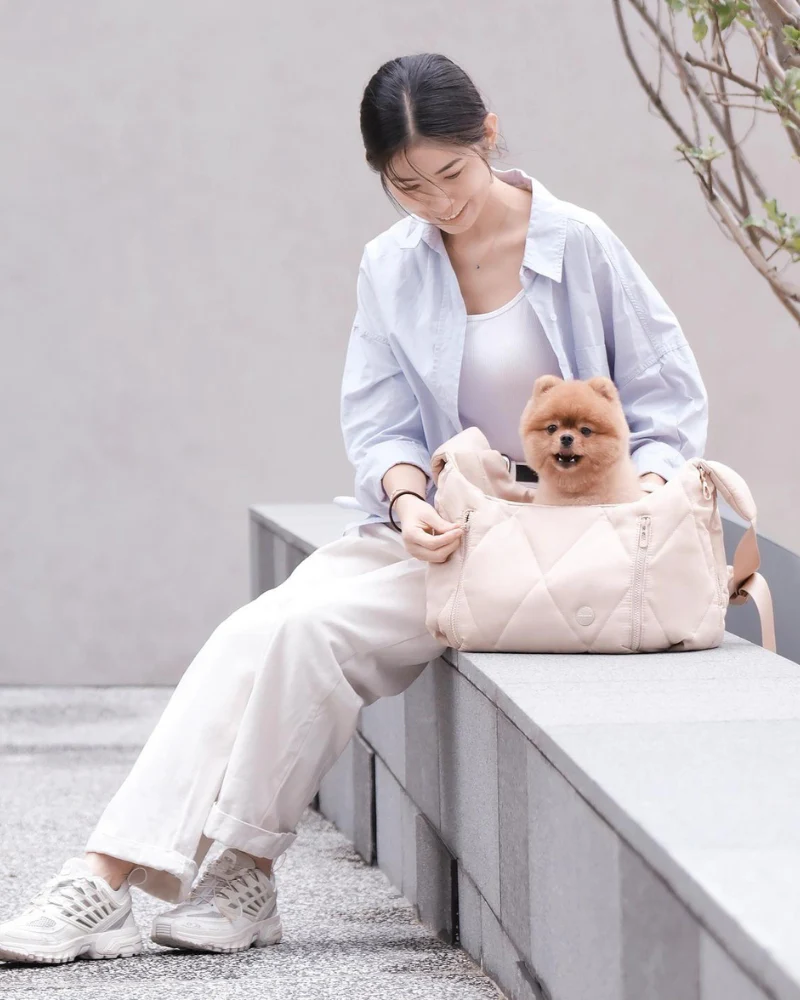 Cloud Crossbody Pet Carrier in Beige or Black - Image 15