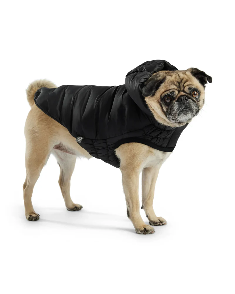 Cloud Puffer Parka for Dogs in Black - Image 7