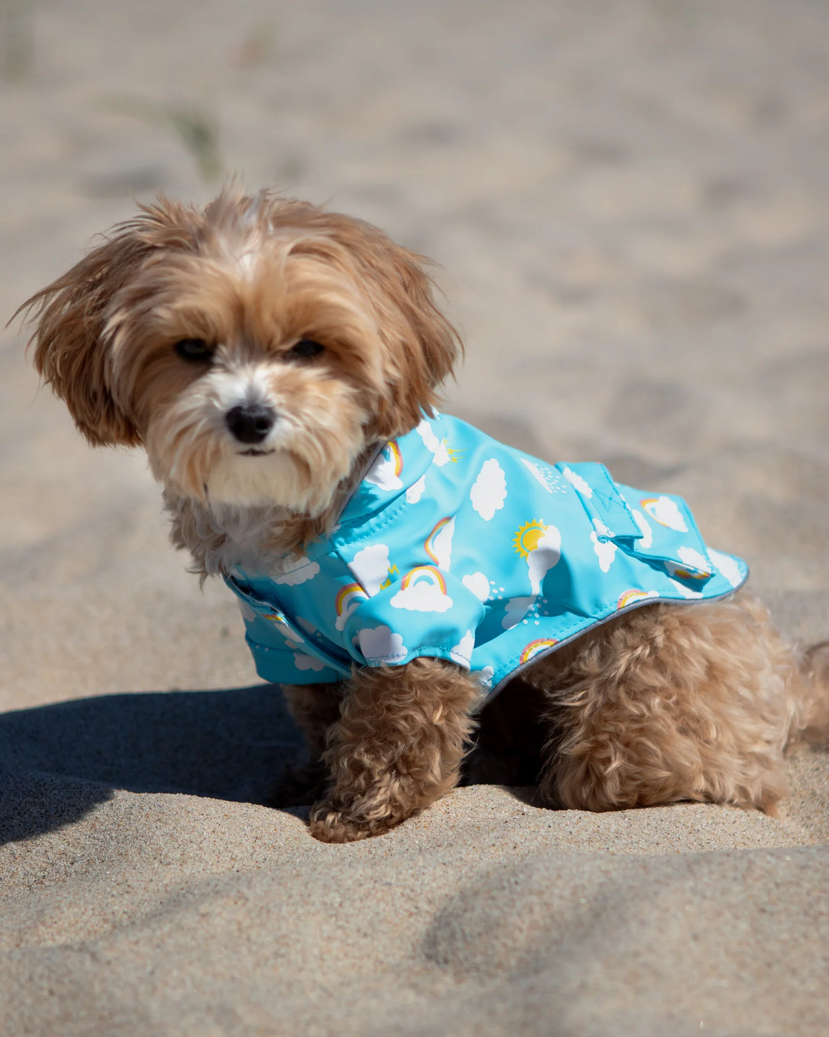 Clouds and Rainbow Torrential Tracker Raincoat (FINAL SALE) - Image 3