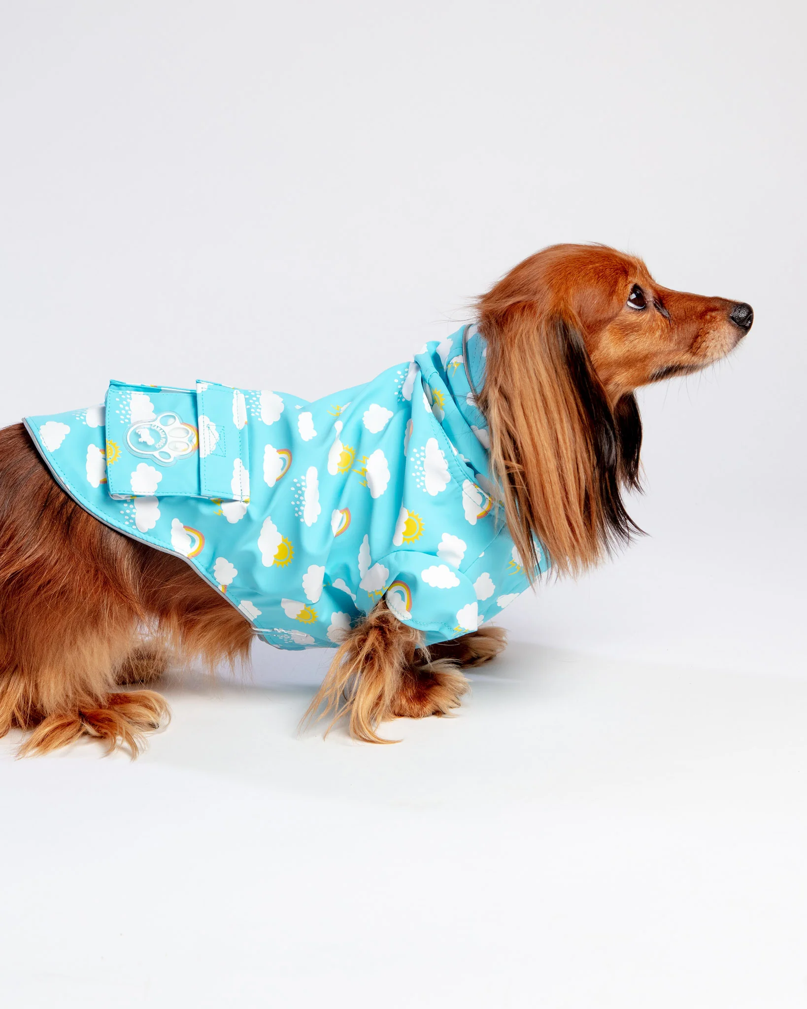 Clouds and Rainbow Torrential Tracker Raincoat (FINAL SALE) - Image 4