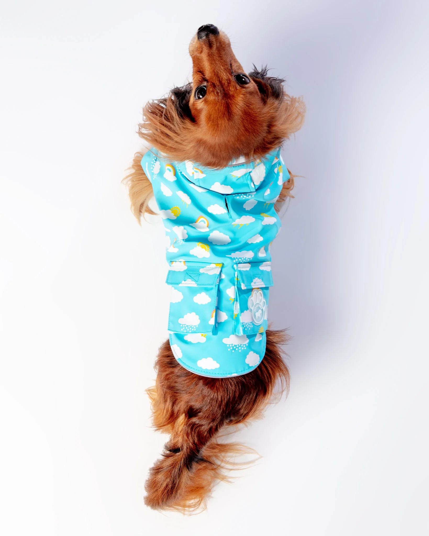 Clouds and Rainbow Torrential Tracker Raincoat (FINAL SALE) - Image 5