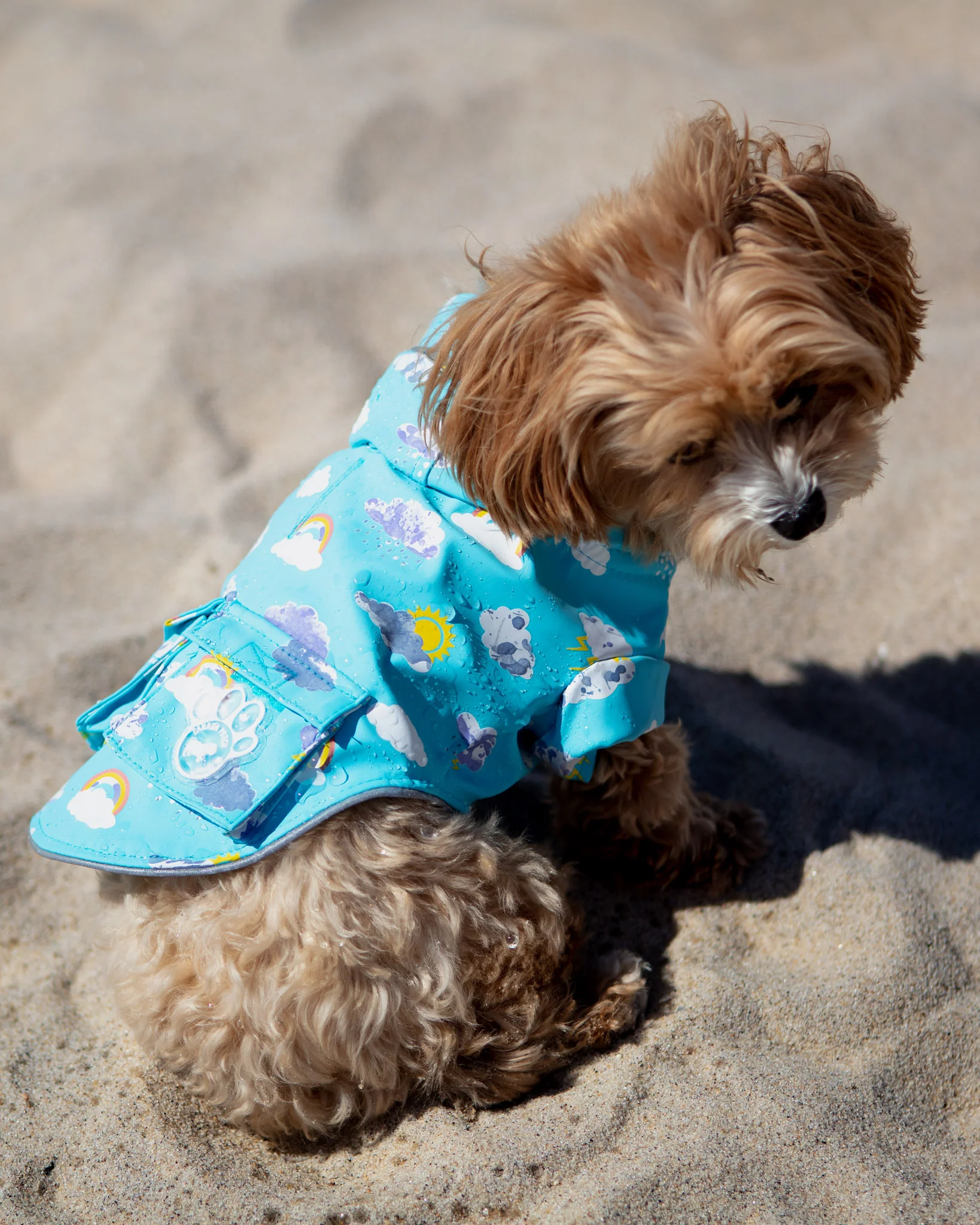 Clouds and Rainbow Torrential Tracker Raincoat (FINAL SALE) - Image 6