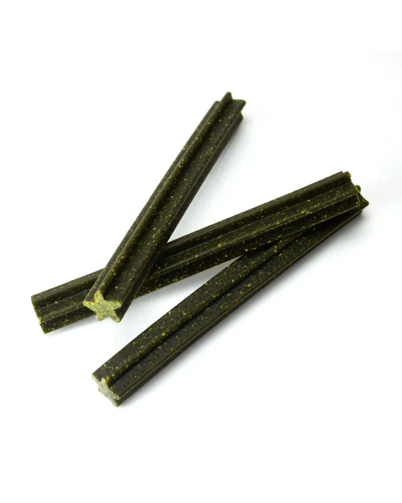 Coconut Mint Dental Dog Chews - Image 3