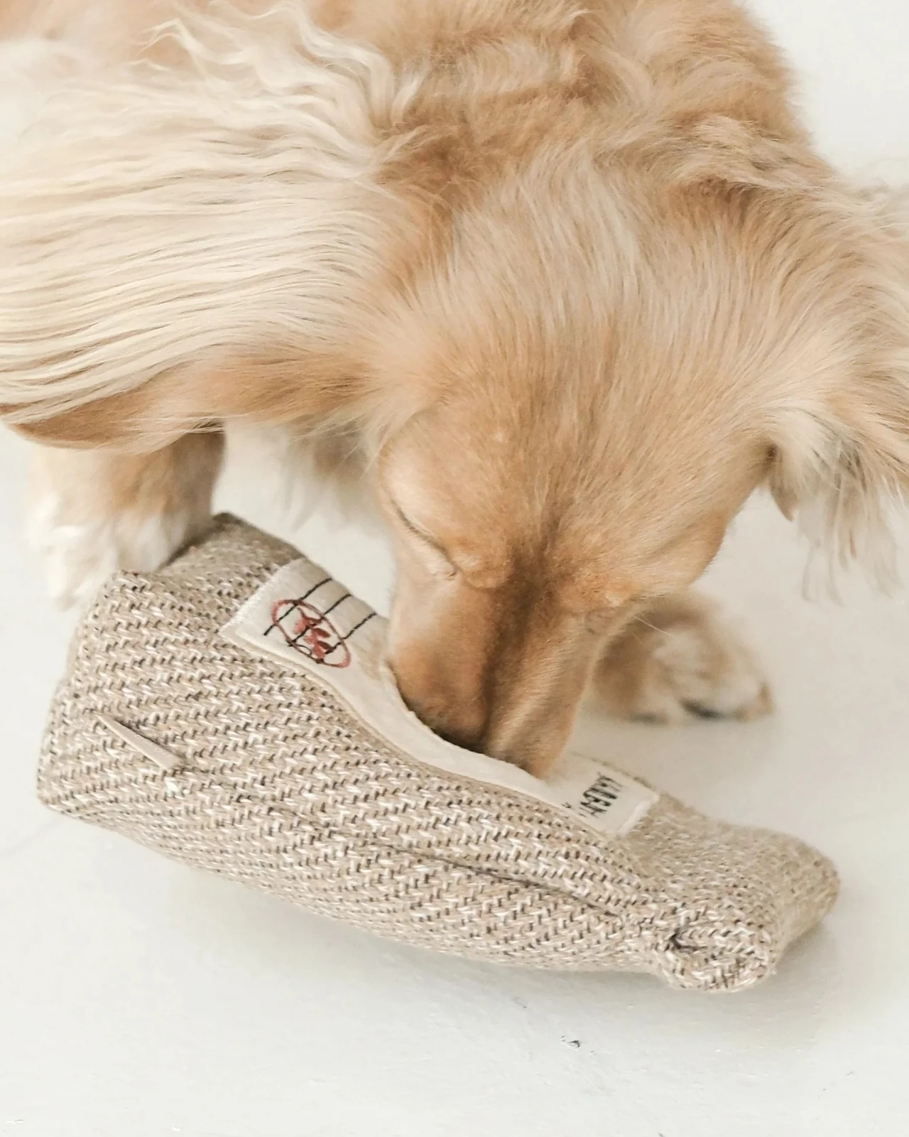 Coffee Beans Enrichment Dog Toy - Image 4