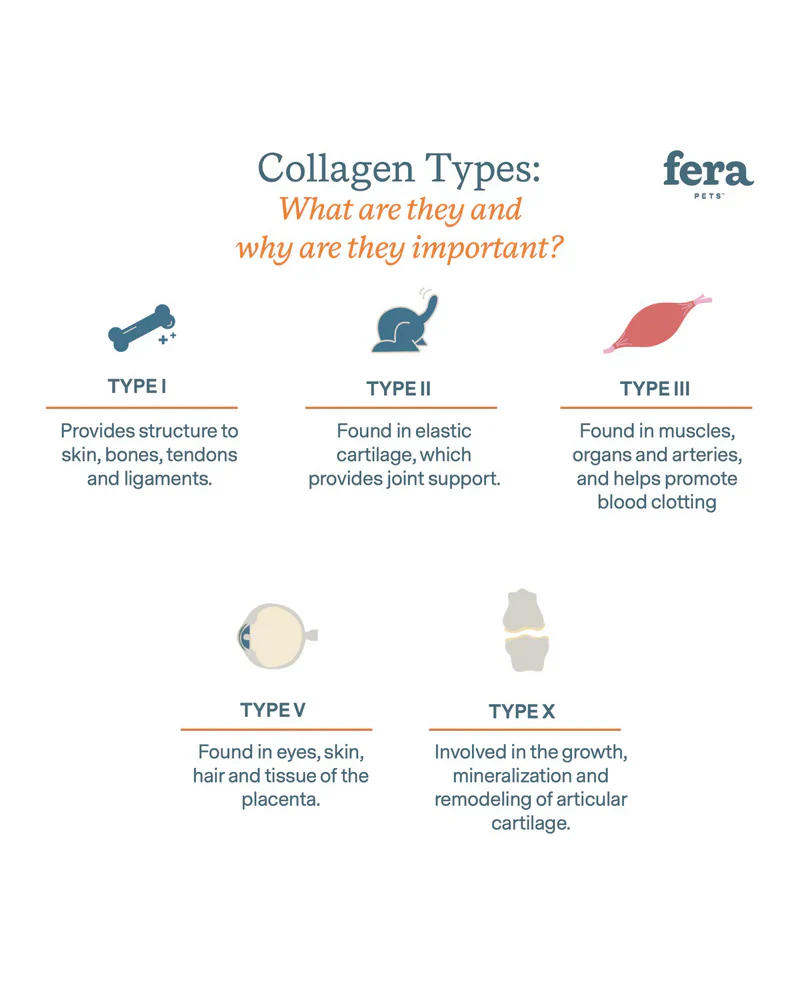 Collagen Plus Food Topper for Dogs & Cats - Image 6