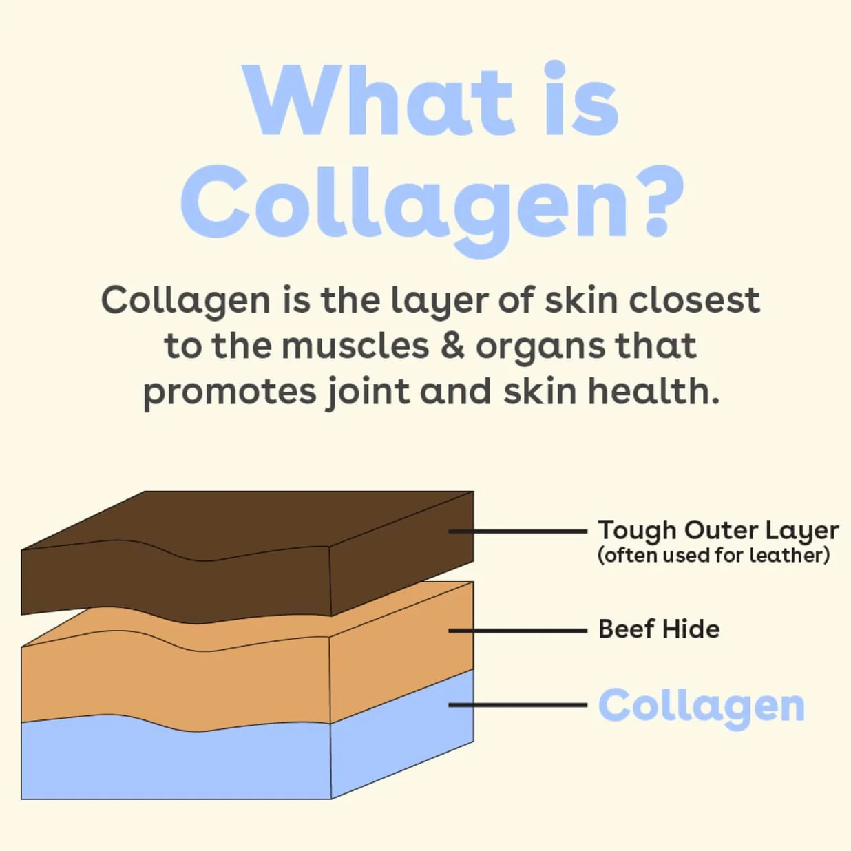 Collagen Stick Chew for Dogs - Image 4