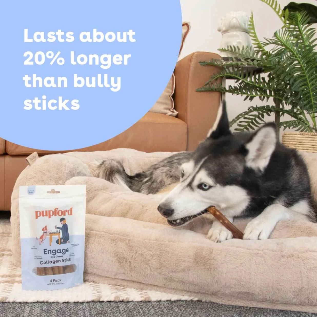 Collagen Stick Chew for Dogs - Image 6