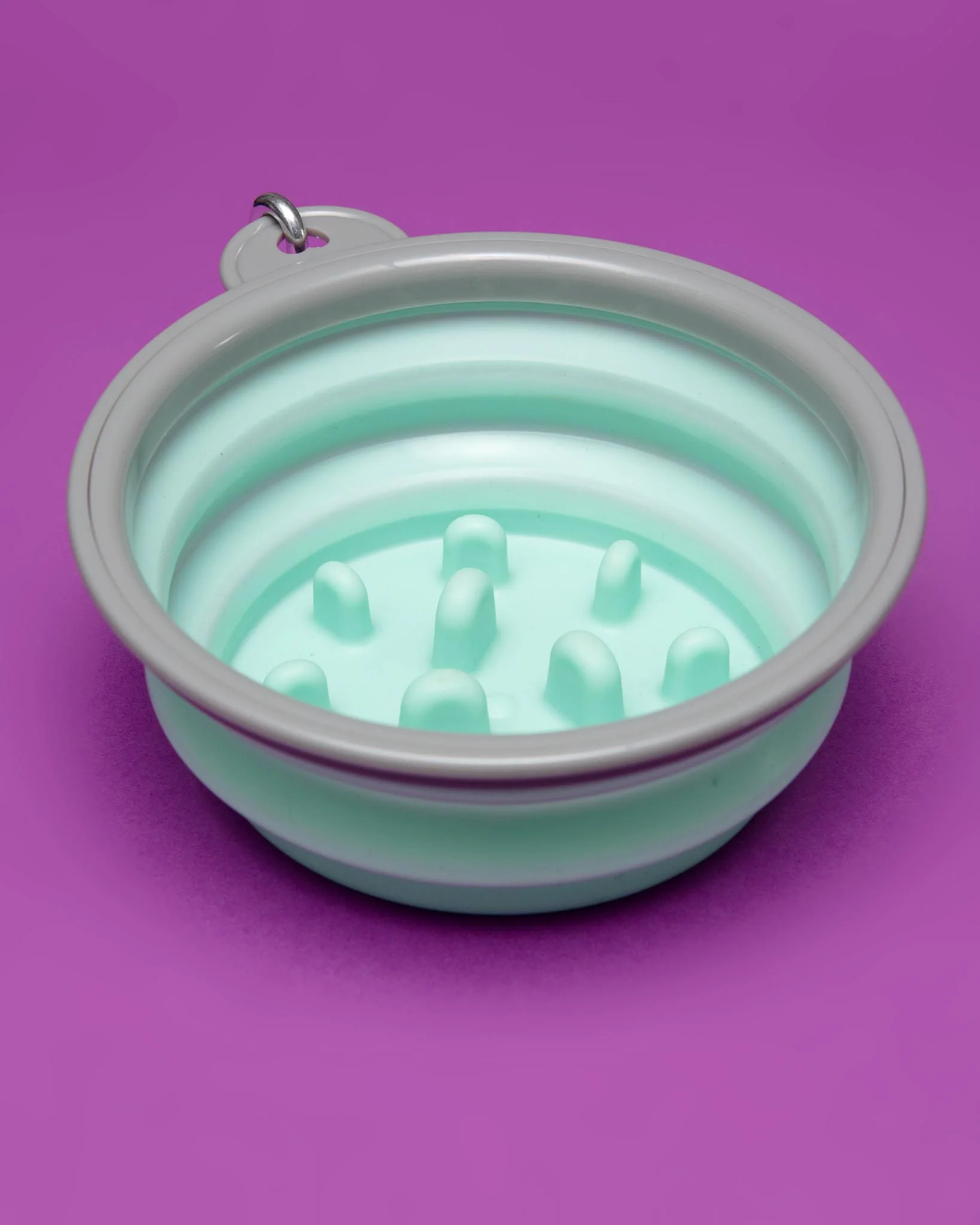 Collapsible Slow Feeder Dog Bowl - Image 2