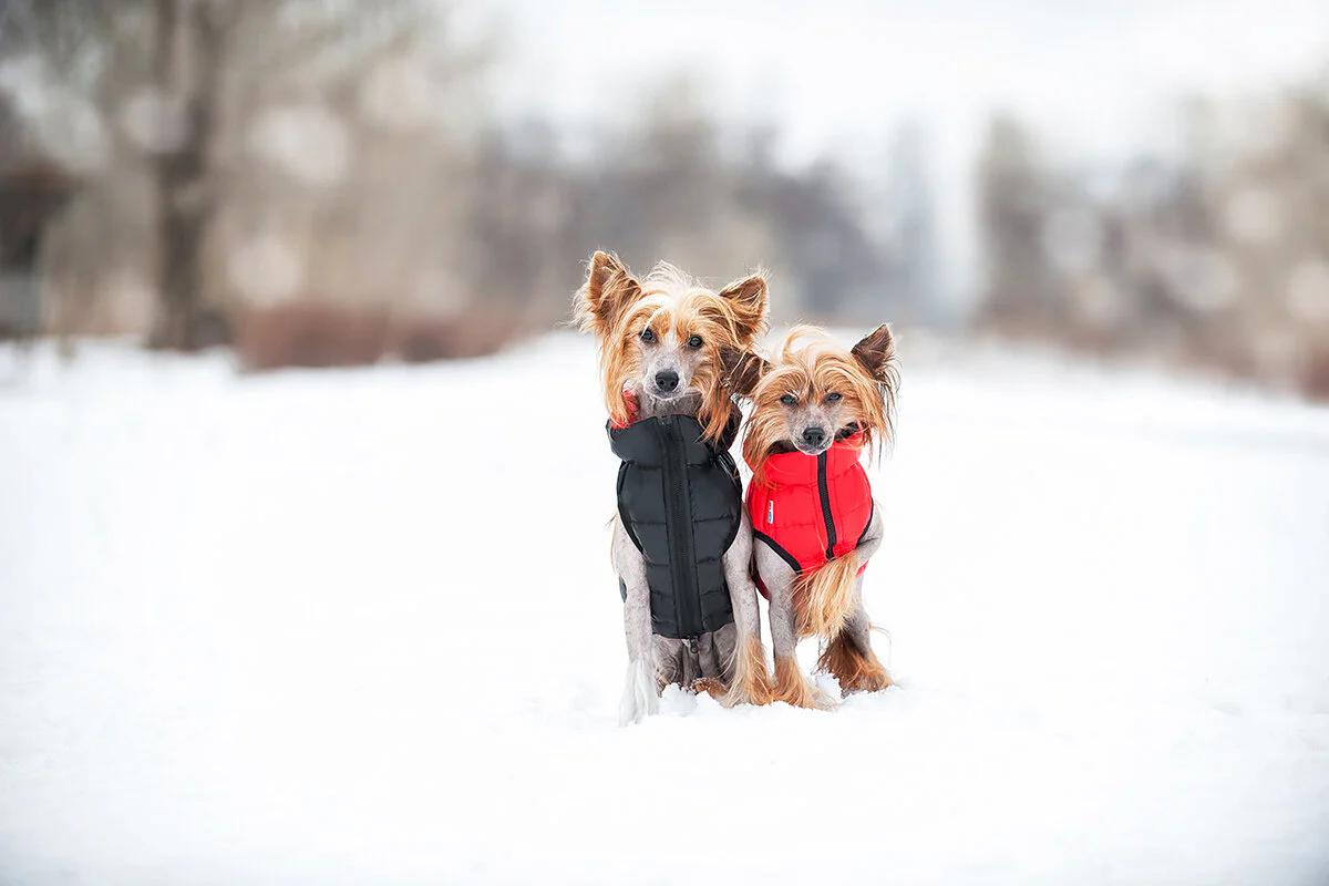 Reversible Puffer AiryVest in Red and Black << CLEARANCE >> - Image 5
