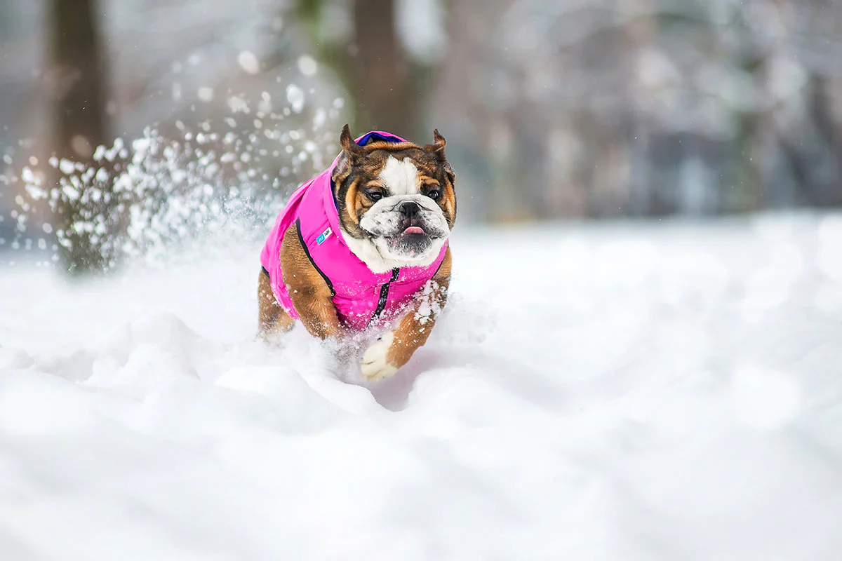 Reversible Puffer AiryVest in Pink and Purple << CLEARANCE >> - Image 5