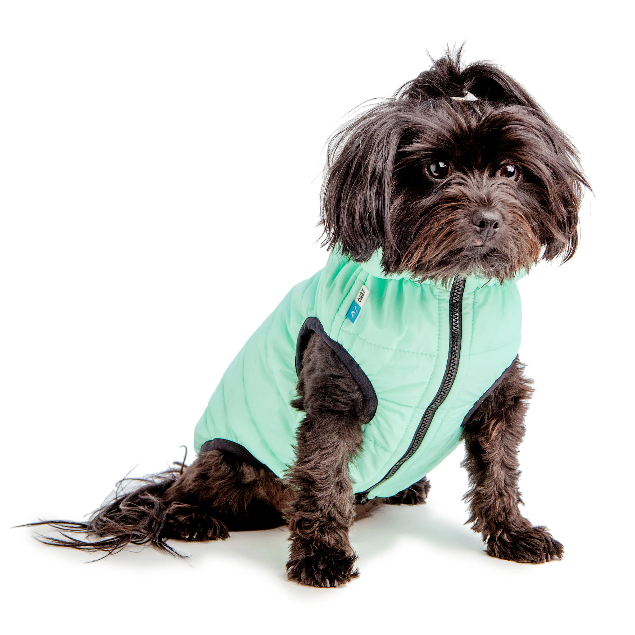 COLLAR BRAND | Reversible AiryVest Lumi in Tangerine + Glow-in-the-Dark Mint (with Harness Hole) - Image 2