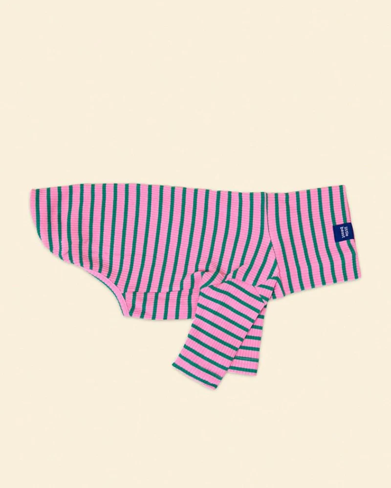 College Dropout Ribbed Dog Pullover - Image 3