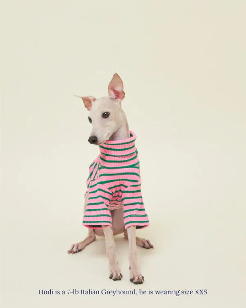 College Dropout Ribbed Dog Pullover - Image 4